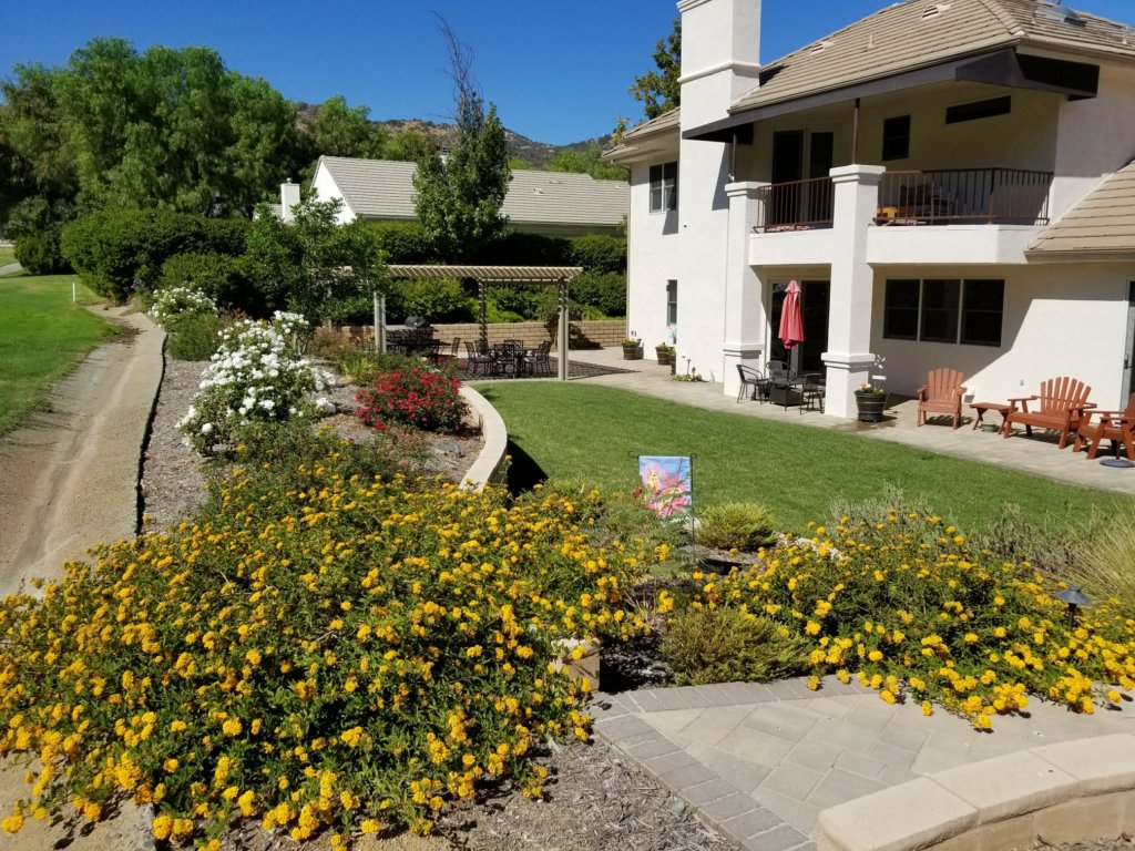 Backyard with paver patio, pergola, lawn, and flowering drought-tolerant planting